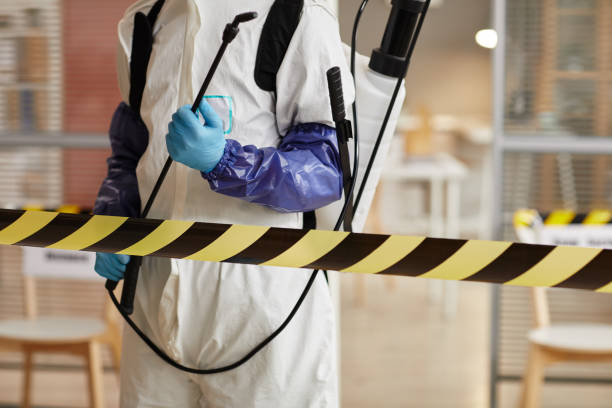 Professional Sewage Cleanup technician working in Elkins, NH